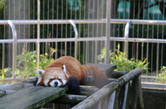 ふぅ。