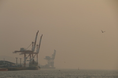 徳山港