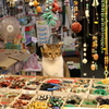 店番