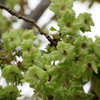 IMG_0505
