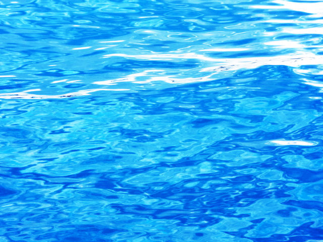 ゼリーの海