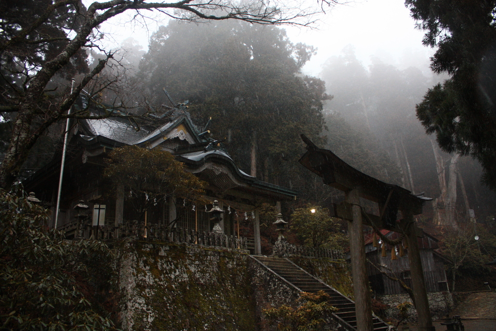 2019,3,1熊野 058