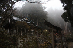 2019,3,1熊野 058