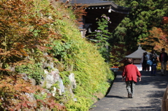 紅葉