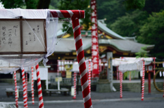 雨降る境内