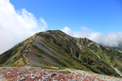 EOS M1061