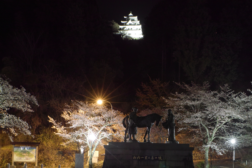 郡上八幡城ライトアップと夜桜