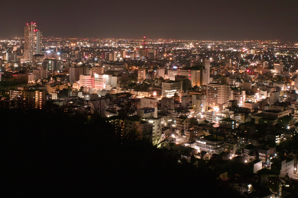 岐阜金華山夜景