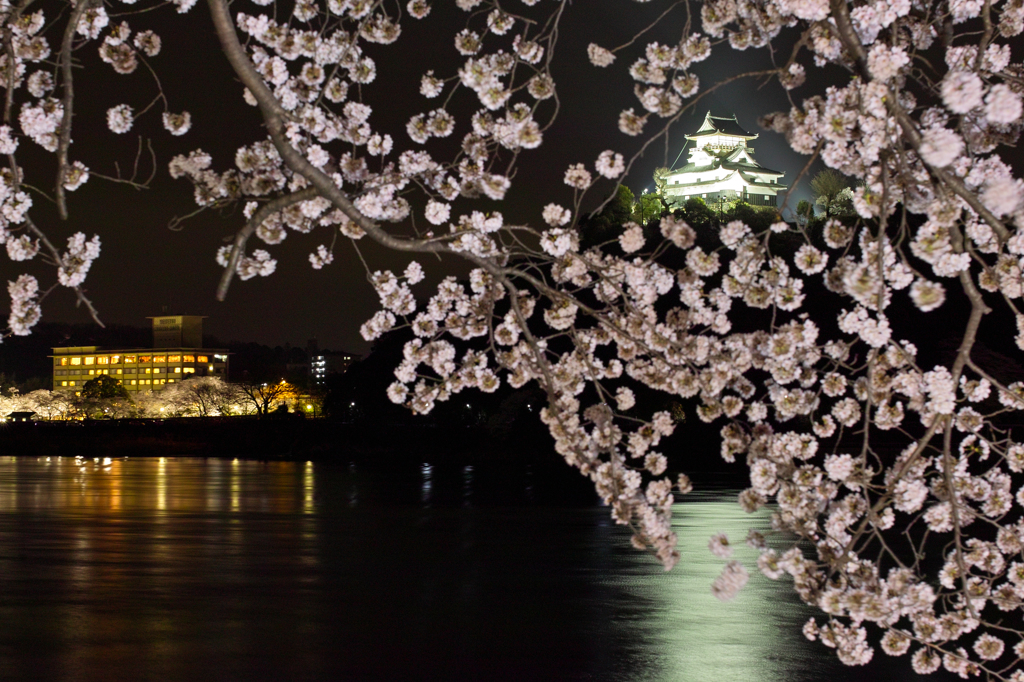 桜の時期の犬山城