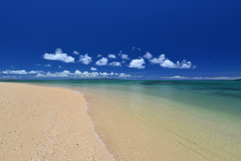 夏の海岸