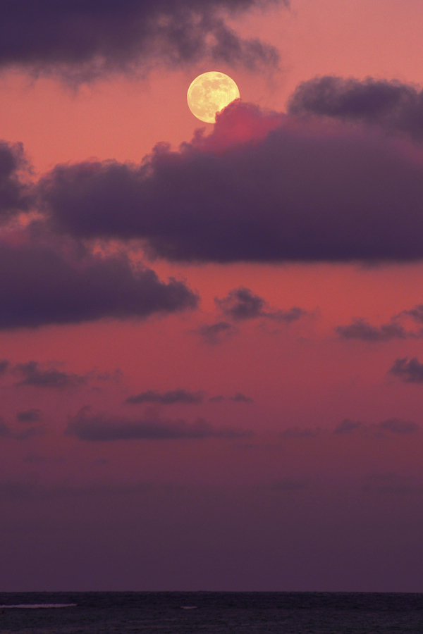 夕月