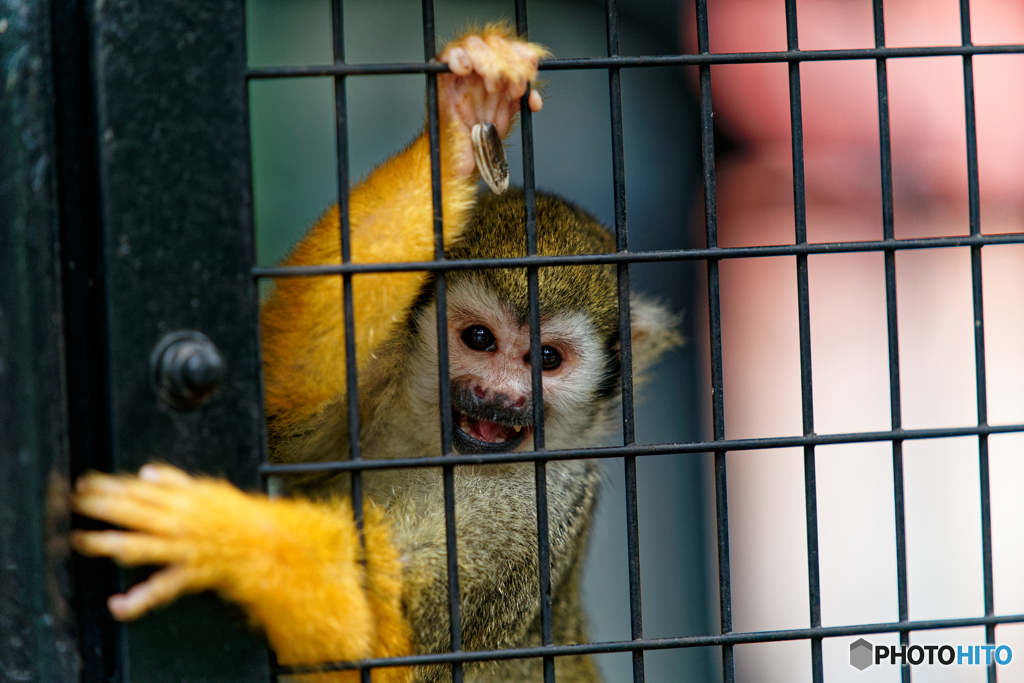 近所の小動物園にて