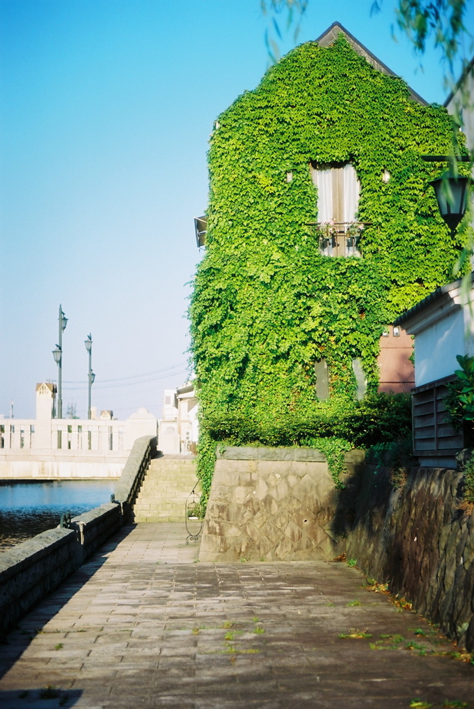 GREEN HOUSE