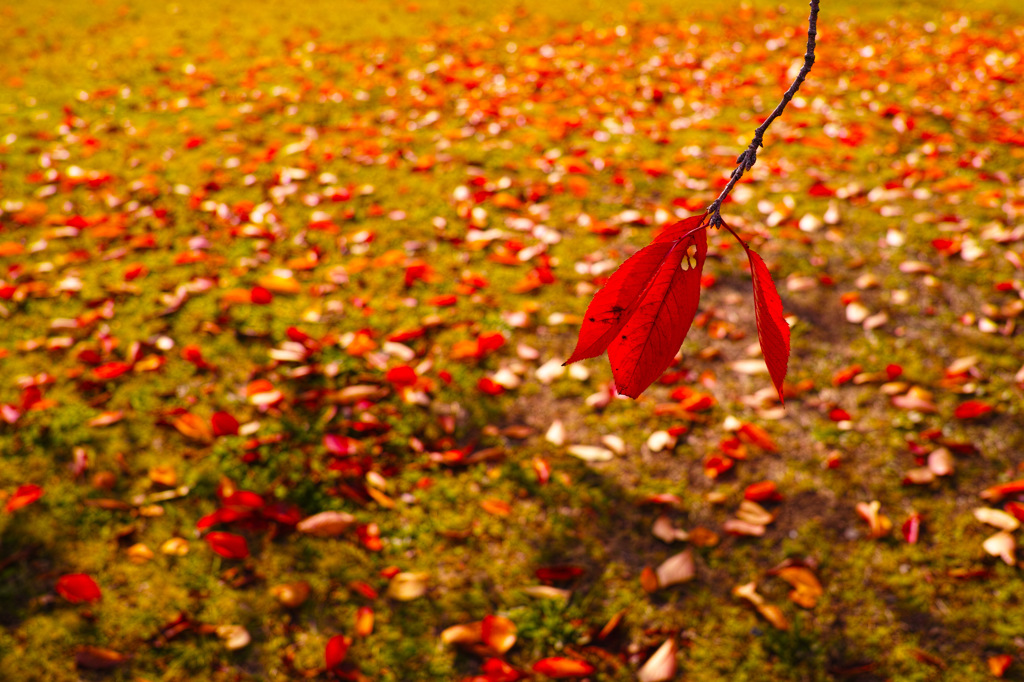 red