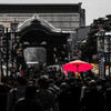 牛に引かれて善光寺参り