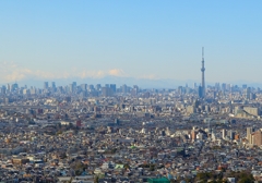 東の都