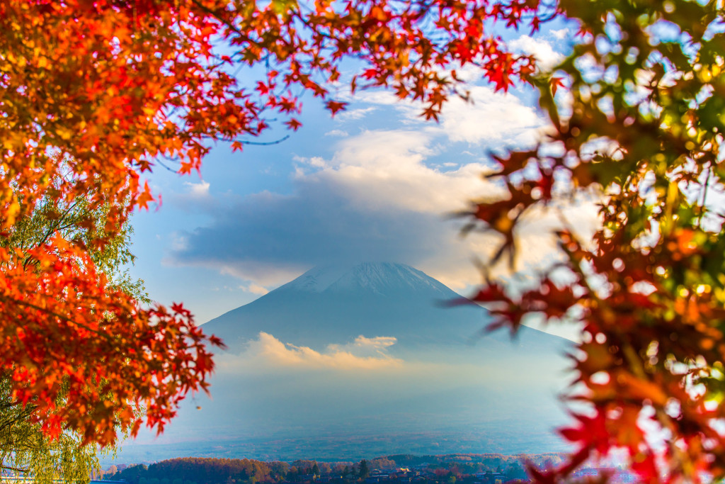 紅葉の額縁