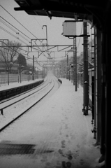 Tokyo Snow