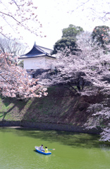 SAKURA