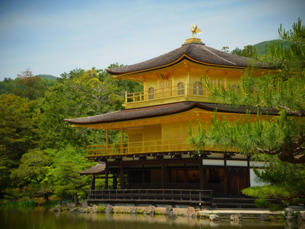 金閣寺。