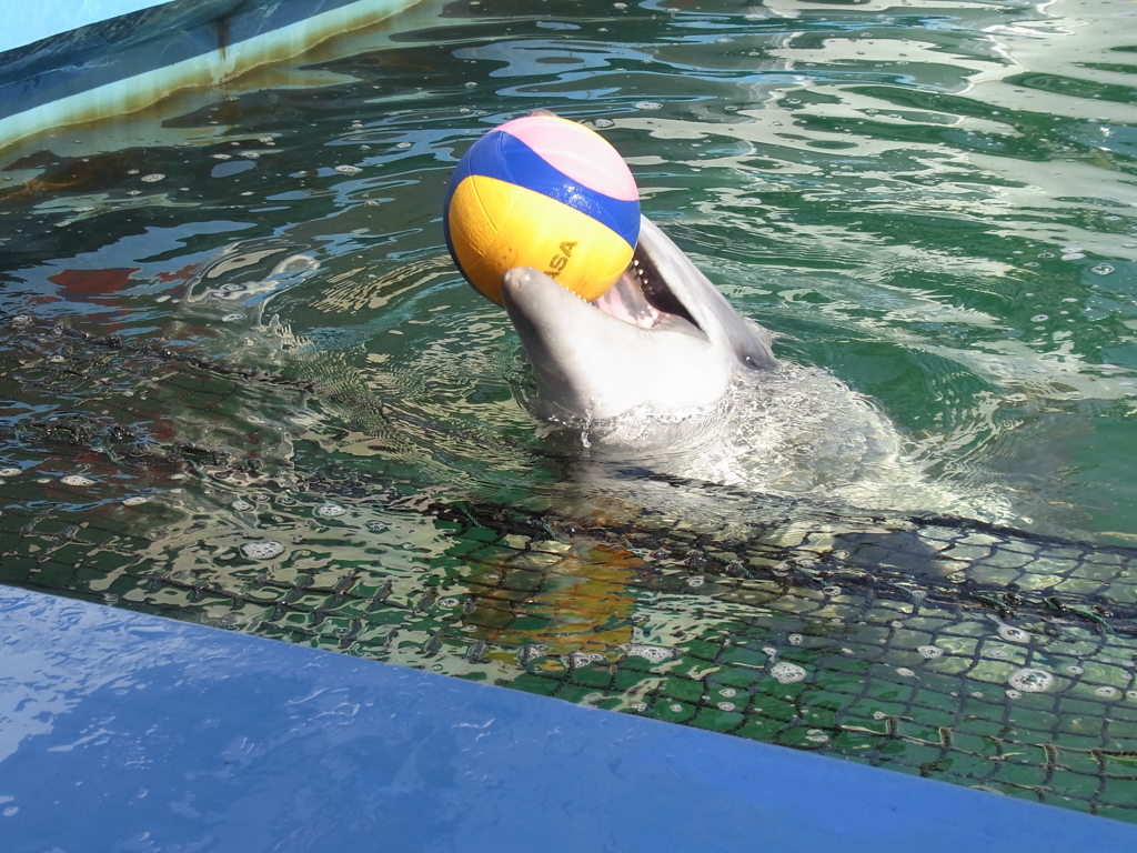 ナイスキャッチ