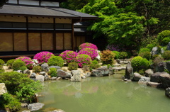 千利休好みの庭