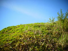 R0011582