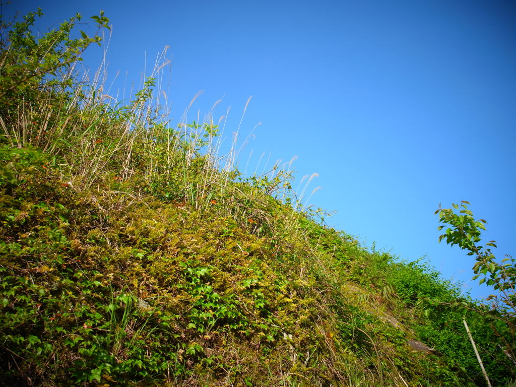R0011583