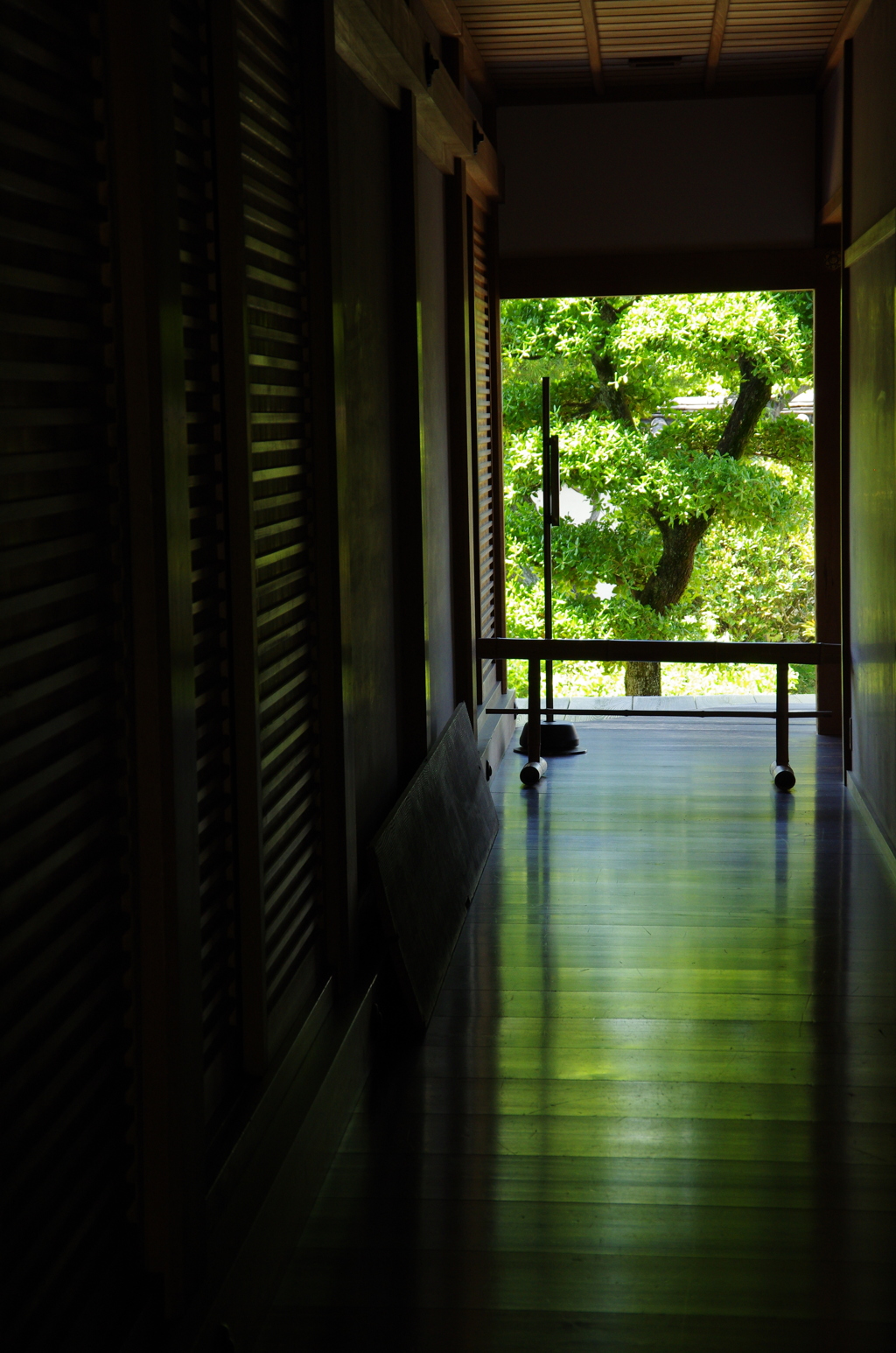 映り込む新緑。