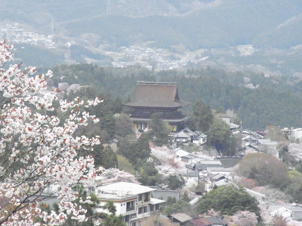 春の吉野山