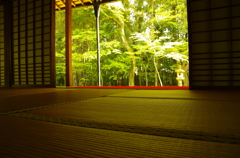 高桐院