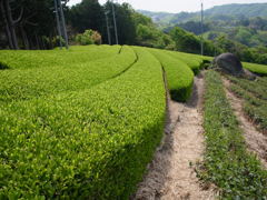 R0011272