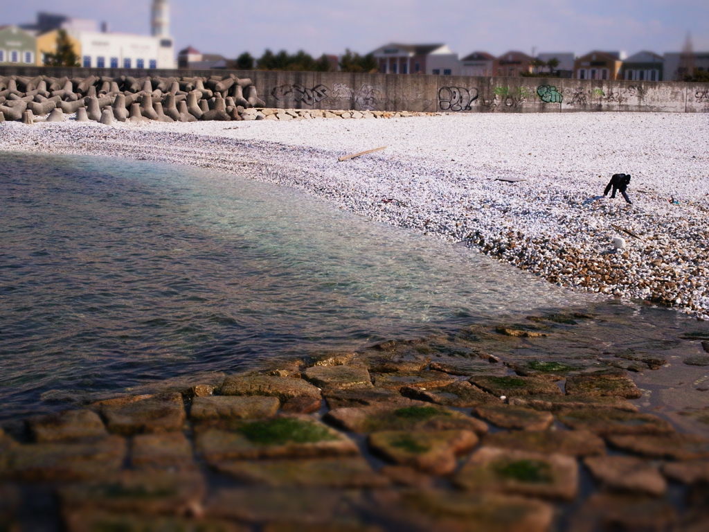海辺で遊ぶ子供（３）