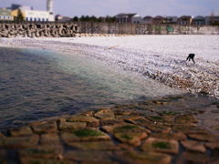 海辺で遊ぶ子供（３）