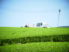 R0011205