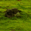わらべ地蔵