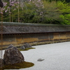 IMGP6782