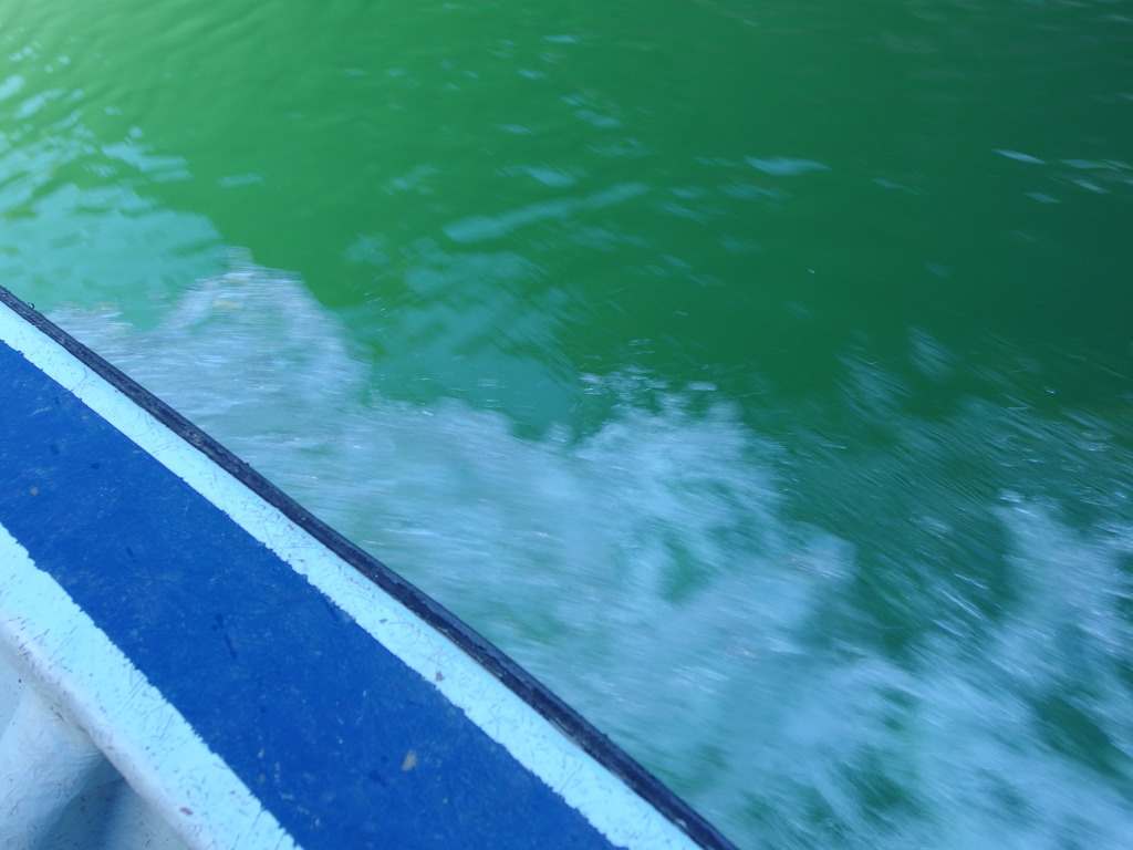 凛とした空気にそそられて。