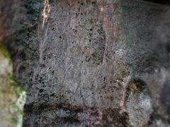 こぼれ落ちる瞬間