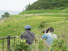 千枚田カメラマン。