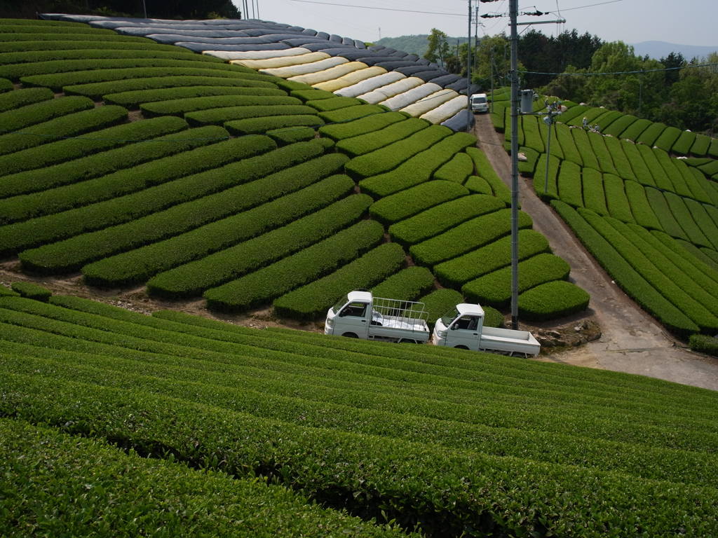 R0011260
