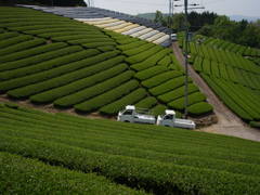 R0011260