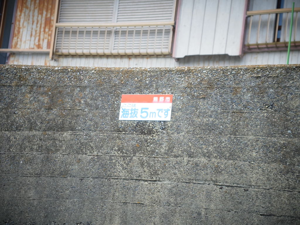 ここは、海抜5ｍです。