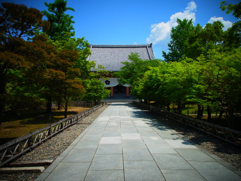 初夏の京都。