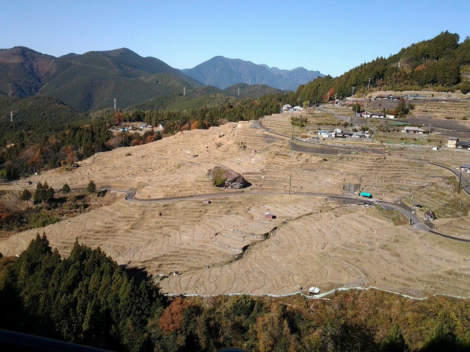 丸山千枚田
