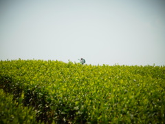 R0011176