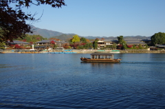 IMGP0452