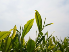 R0011270