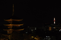 IMGP6945