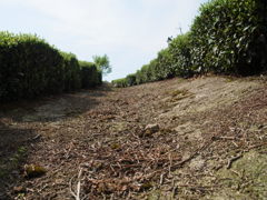 R0011164